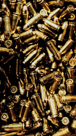 mexico sues gun makers.