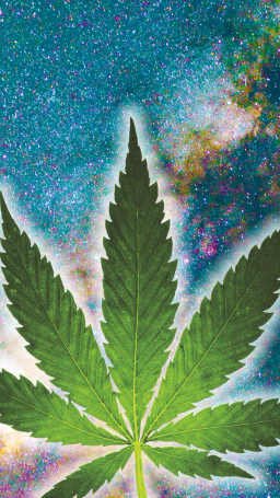 legalizing weed.
